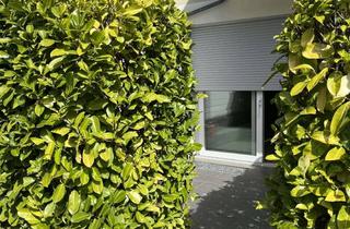 Wohnung mieten in Von-Coels-Straße 77a, 52080 Aachen, 1,5-Zimmer Wohnung mit Terrasse, kernsaniert, in Aachen-Eilendorf