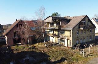 Mehrfamilienhaus kaufen in 66484 Großsteinhausen, Mehrfamilienhaus als Sanierungs- oder Neubauprojekt!