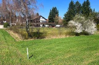 Grundstück zu kaufen in 82402 Seeshaupt, Seeshaupts Sonnenseite -Grundstück für DHH