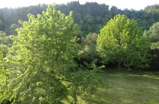 Wohnung mieten in 97877 Wertheim, Im Grünen: 4 ZW mit Ausblick in Wertheim-Waldenhausen