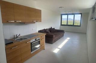 Wohnung mieten in 79618 Rheinfelden, 1-Zimmer Wohnung in Rheinfelden (Baden)