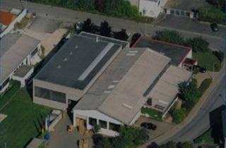Gewerbeimmobilie mieten in 72805 Lichtenstein, Großzügige Produktion-/ und Lagerflächen zu vermieten