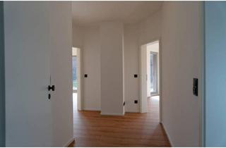 Wohnung mieten in 29574 Ebstorf, Moderne 2-Zimmer-Wohnung in Ebstorf