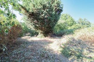 Grundstück zu kaufen in 04349 Leipzig, Natur trifft City: Teilerschlossenes Grundstück mit viel Grün in Leipzig-Thekla