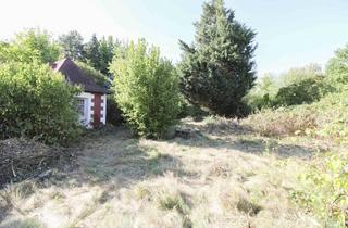 Grundstück zu kaufen in 04349 Leipzig, Natur trifft City: Teilerschlossenes Grundstück mit viel Grün in Leipzig-Thekla