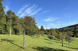 Grundstück zu kaufen in 75181 Pforzheim, Ein Paradies für Naturliebhaber und Visionäre – investieren Sie in den Erhalt wertvoller Landschaft