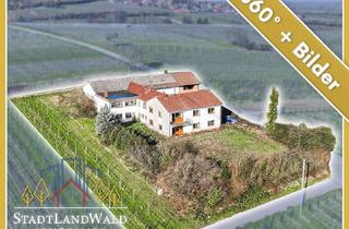 Haus kaufen in 76833 Frankweiler, Frankweiler - Leben über dem Rebenmeer - Ehemaliges Weingut in Alleinlage und Blick in die Rheinebene