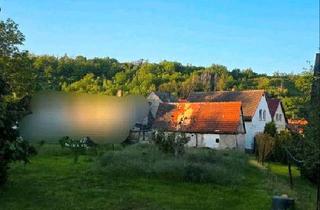Einfamilienhaus kaufen in 06313 Ahlsdorf, Ahlsdorf - Haus in Wimmelburg mit Garten, Nebengelass und Ausblick Zentral