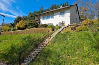 Mehrfamilienhaus kaufen in 37287 Wehretal, Wehretal - Mehrfamilienhaus in Ruhiger Lage
