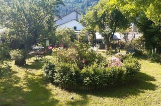 Haus kaufen in 56841 Traben-Trarbach, Traben-Trarbach - großes Haus in Traben-Trarbach Mosel 900 qm Wfl. + Nfl.