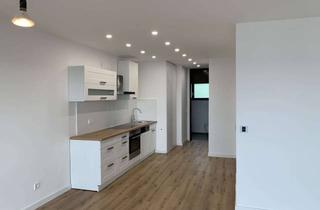 Wohnung mieten in 73240 Wendlingen, Einliegerwohnung mit zweieinhalb Zimmern sowie Balkon und EBK in Wendlingen
