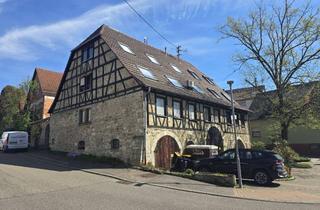 Wohnung mieten in Berggasse, 74336 Brackenheim, 4-Zimmer Dachgeschoss Wohnung in Brackenheim