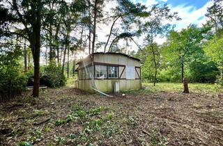 Haus kaufen in Auf Der Heide 60, 14822 Borkheide, Waldgrundstück mit Bestandsgebäude in Borkheide 799 m² Nähe Berlin
