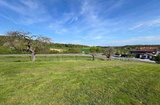 Grundstück zu kaufen in 63589 Linsengericht, Sonniges & attraktives Eck-/Baugrundstück in Ortsrandlage mit Fernblick