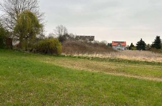 Grundstück zu kaufen in 15848 Tauche, Attraktives Baugrundstück in Tauche