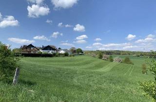 Immobilie mieten in 64397 Modautal, Möblierte Wohnung in grüner Idylle