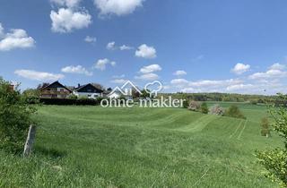 Wohnung mieten in 64397 Modautal, Möblierte Wohnung in grüner Idylle