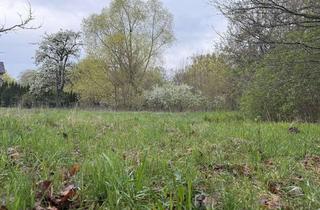 Grundstück zu kaufen in 14656 Brieselang, Wohnen direkt am Wald in Brieselang/Nord von Privat