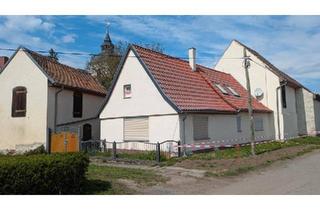 Einfamilienhaus kaufen in 06268 Querfurt, Querfurt - WohnhausBauernhaus in idyllischer Lage