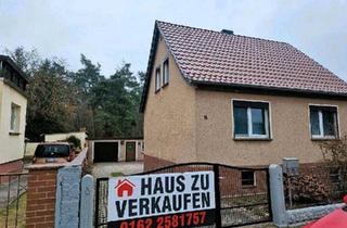 Haus kaufen in 04928 Plessa, Plessa - Haus und Grundstück