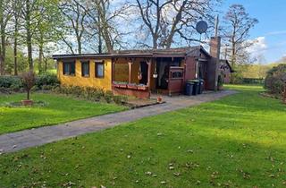 Einfamilienhaus kaufen in 27367 Sottrum, Sottrum - Einfamilienhaus in Außenrandlage
