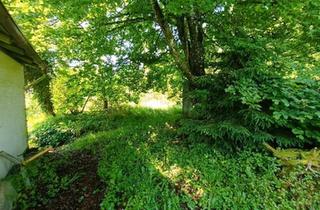 Einfamilienhaus kaufen in 69483 Wald-Michelbach, Wald-Michelbach - kleiner Bauernhof mit Scheune zum verwirklichen