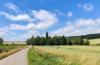 Haus kaufen in 31552 Rodenberg, Rodenberg - Naturgrundstück in top Lage nahe Bad Nenndorf zu verkaufen