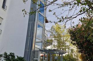 Wohnung mieten in Greifstr. 3 b, 65199 Dotzheim, Schicke 2-Zimmer-Single-Wohnung mit Dachterrasse und Blick