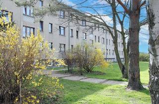 Wohnung mieten in Hessenburger Str., 18317 Saal, 2-Zimmer-Wohnung im Hochparterre