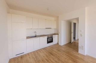 Wohnung mieten in Leipziger Straße 12, 03048 Ströbitz, Barrierefreie Seniorenwohnung mit Balkon und EBK!