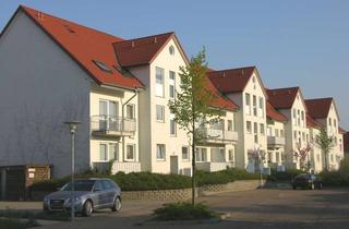 Wohnung mieten in Zuckerallee 31, 38527 Meine, Helle 3-Zimmer Wohnung mit Balkon in Meine