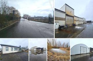 Gewerbeimmobilie kaufen in 04509 Wiedemar, Industrie- und Gewerbeareal mit vielen Bestandsgebäuden