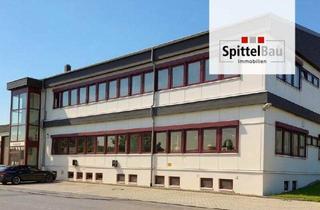 Gewerbeimmobilie kaufen in 78739 Hardt, Moderne Produktionshalle mit Bürotrakt zu verkaufen!