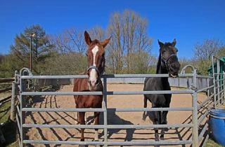 Haus kaufen in 42499 Hückeswagen, Willkommen mit Pferden in Ihrem neuen Zuhause!