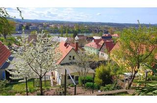 Einfamilienhaus kaufen in 01796 Pirna, Charmantes denkmalgeschütztes Einfamilienhaus in exklusiver Lage am Elbhang in Pirna