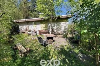 Haus kaufen in 67808 Falkenstein, Hat Dein Hund Dir schon gesagt, dass er ein Wochenendhaus in der Natur will?