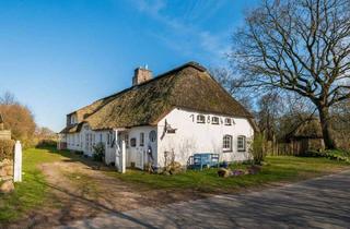Haus kaufen in 25885 Oster-Ohrstedt, Traumhaft wohnen im hohen Norden: großes Reetdachhaus mit Einliegerwohnung in idyllischer Naturlage.