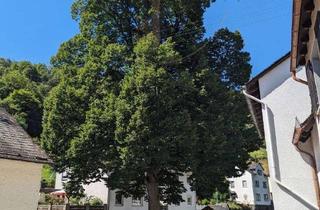 Haus kaufen in 65391 Sauerthal, ***In malerischer Umgebung gelegen, bereit für neue Wohnideen...gepflegte DHH in Sauerthal!