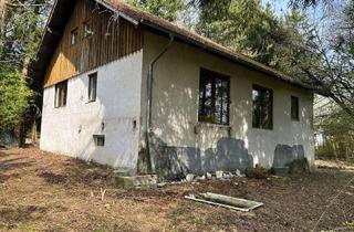 Einfamilienhaus kaufen in 92444 Rötz, Refugium in Alleinlage – Verwunschenes Einfamilienhaus mit großem Naturgrundstück und viel Potenzial