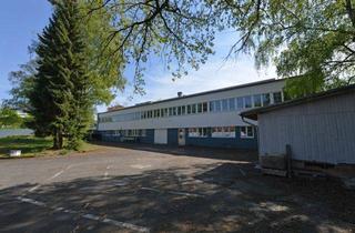 Geschäftslokal mieten in 53773 Hennef, Hennef Geistingen: Beheizte Lagerräume in verschiedenen Größen