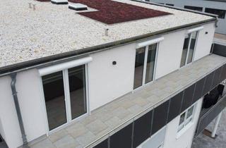 Gewerbeimmobilie mieten in 64839 Münster, DIETZ: NEUBAU 3-Zimmer-Wohnung und Büro nur für Vorsteuerabzugsberechtigte! Wohnen und Arbeiten!