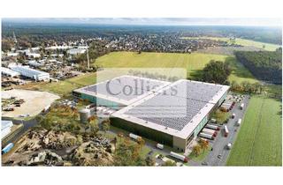 Gewerbeimmobilie mieten in 29323 Wietze, MODERNE LOGISTIKENTWICKLUNG BEI HANNOVER