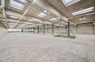 Büro zu mieten in Schöllkopfstraße 118, 73230 Kirchheim, Deine neue Halle - Provisionsfrei!