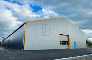 Gewerbeimmobilie kaufen in 64665 Alsbach-Hähnlein, "BAUMÜLLER AG" - ca. 700 m² Hallenfläche + 1.600 m² Freifläche - ebenerdig