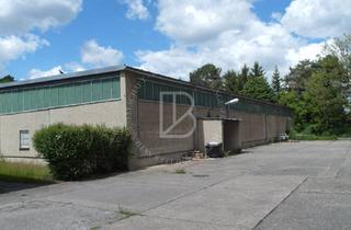 Gewerbeimmobilie mieten in 64347 Griesheim, "BAUMÜLLER AG" - ca. 3.000 qm - Lager-/Logistikhalle - hervorragende Anbindung
