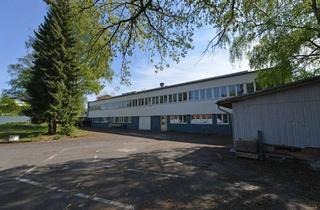 Gewerbeimmobilie mieten in 53773 Hennef, Hennef Geistingen: Beheizte Lagerräume in verschiedenen Größen