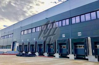 Büro zu mieten in 64546 Mörfelden-Walldorf, NEUBAU ✓ 24/7 ✓ Lager-/Logistik (10.000 m²) & Büro-/Sozial (1.500 m²)