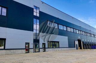 Büro zu mieten in 65479 Raunheim, NEUBAU ✓ 24/7 ✓ Lager-/Logistik (10.000 m²) & Büro-/Sozial (1.500 m²)