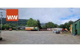Gewerbeimmobilie kaufen in 78176 Blumberg, Gewerbeimmo incl. Spedition in bester Lage