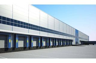 Gewerbeimmobilie mieten in 48629 Metelen, Moderne Lagerhalle kurzfristig verfügbar